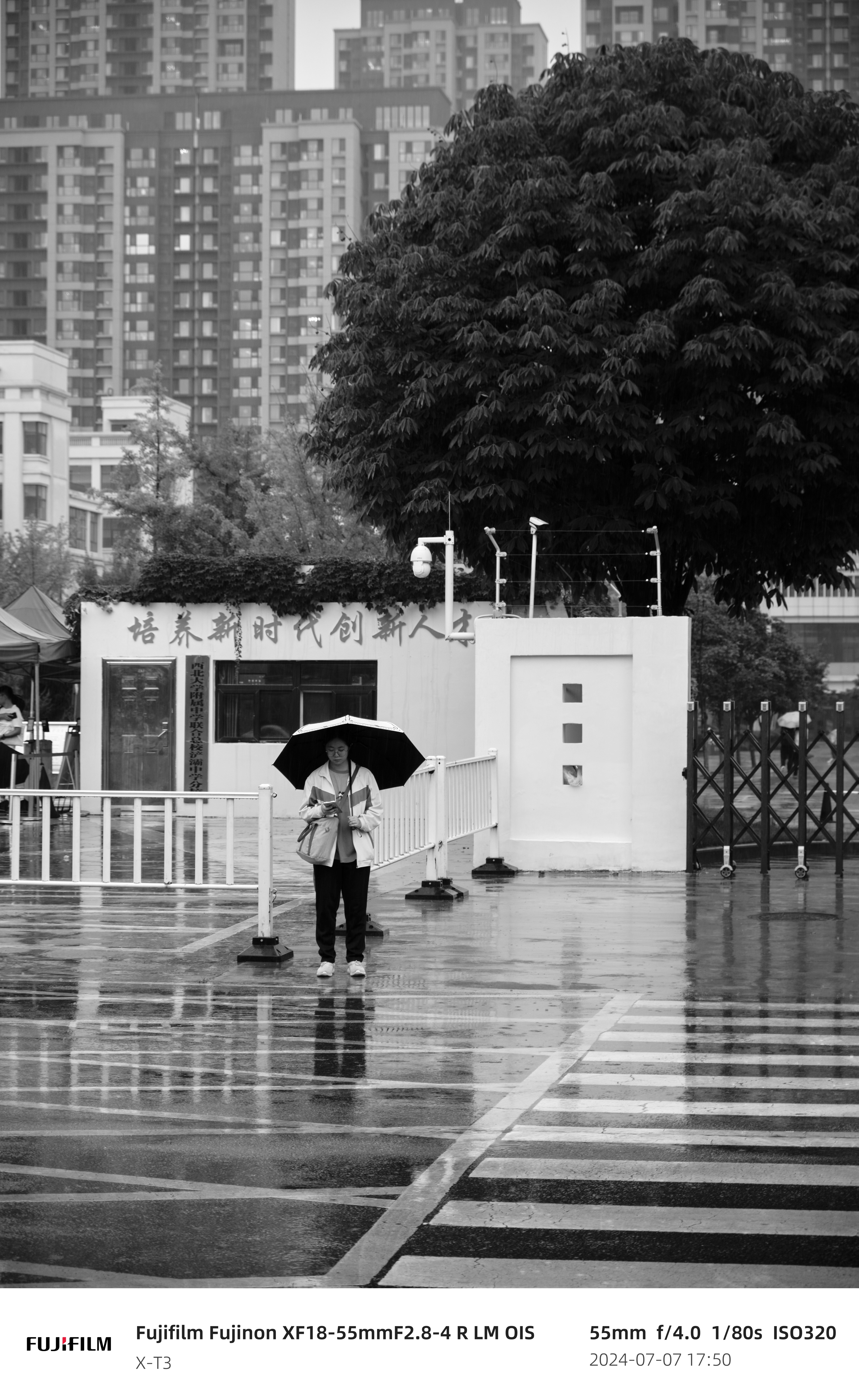 left 布局：图片在左（约 55%），文字在右。图片与文字比例接近，适合需要详细说明的单张照片。